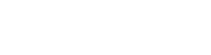 The Elastic Network